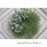 男前SpanishMoss&Thistle　30cm
