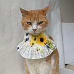お出掛けひまわりドレス
