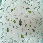 押し花素材　No181　ミルキーカラーの小花のセット