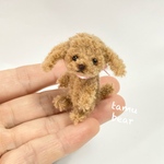 ミニチュア モールアート チビトイプー テディベア モールベアTamu bear 
