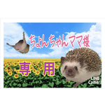 こちらは、ちょんちゃんママ様専用です。