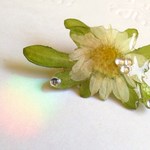 素朴な可愛さ♡押し花　露玉ブローチ