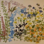 押し花 素材 アスチルベ他小花セット　💐