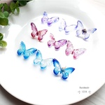鮮やかな空と蝶 🦋 イヤリング・ピアス