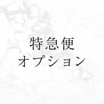特急便オプション