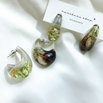 ﾄｳﾒｲﾌﾗﾜｰ ＊ ﾋﾟｱｽ