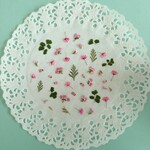 押し花素材　No185　ミニミニセット3
