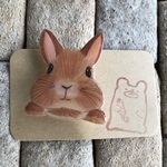 ネザーランドラビットさんのブローチ