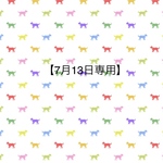 【７月１３日専用】