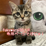 fukuwarai33さま専用ページ