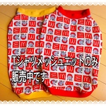 ドナルドッグ柄　穴あきメッシュニット・Tシャツニット