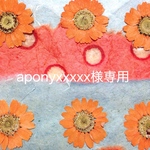 aponyxxxxx様専用
