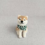 柴犬くん