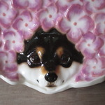 紫陽花ヘアーザラ～黒柴