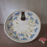 青いヤグルマギクの黒猫丸ザラ