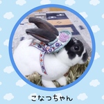 ✨エコアンダリア使用✨手編みのお花モチーフ付き💐チロリアンリボンの麦わら帽子（立ち耳さん）
