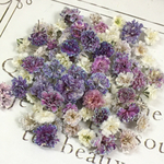 かすみ草　ドライフラワー　misty purple