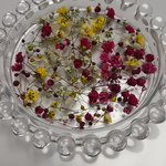 限定5セット🌼かすみ草のドライフラワー🌼小花&蕾セット🌼
