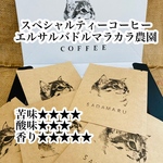 【🌈送料無料】エルサルバドル　マラカラ農園　ドリップバック10袋