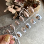 nail chip assort.