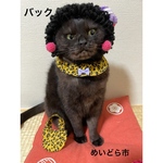 大阪のおばニャンシリーズ(バック)、猫ちゃんの首輪