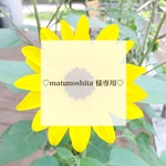 ♡matunoshita様専用♡