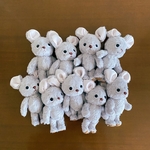 3yukiさまご注文　Pippi