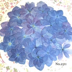 ♡new♡ ♡少し大きめ紫陽花の押し花セット♡
