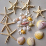 又々再販♡スターフィッシュセット