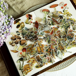 森　キノコ🍄TNフレークシール　100枚