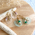 揺れるイヤリングorピアス◆海辺で見つけた小さな宝物🧜🏻‍♀️