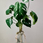 モンステラ N4 フェイクグリーン　根付き　人工観葉植物　