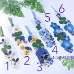 四葉のクローバー🍀入り2枚セット押し花しおり✲*ﾟ
