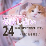 お試し タロット占い