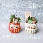 🆕おたのしみだるまさん1つ♡合格祈願・無病息災など