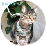 ハーネス☆ 黒猫と小鳥のハーネス・リード・タッセル（ブルー・グリーン）猫ちゃん パピーちゃん 男の子おすすめ