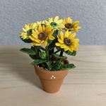 ひまわり  花鉢　1