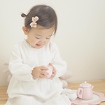 papillon hair clip