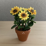 ひまわり  花鉢　2