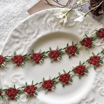 1m 綺麗 果実 フルーツ ケミカルレース ブレード レッド×グリーン BK210710 ハンドメイド 手芸 素材 材料