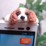 スマホの上から顔を出したキャバリア　イヤホンジヤック
