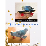 ミニスケートボード　ミニスケ　鳥のおもちゃ　バードトイ鳥さんのおもちゃ　小動物のおもちゃ