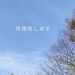 修理品