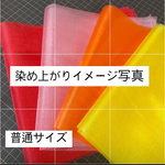 ⑥普通サイズ5匁羽二重ハイビスカス4枚セット