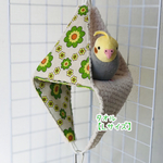 【Ｌｻｲｽﾞ】リバーシブルCHANGEテント