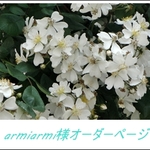 armiarmi様オーダーページ