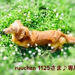 ruuchan1125さま♪専用