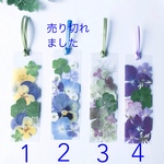 四葉のクローバー🍀入り2枚セット押し花しおり2