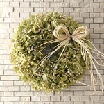 〈e-cosmos様オーダー品〉アナベルとかすみ草のリース(25cm)