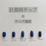 計測用チップ